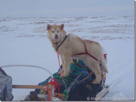 Howdy being a kid Howdy being a kid