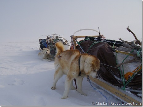 2008_Expedition 600 2008_Expedition 600