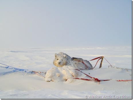 2008_Expedition 671 2008_Expedition 671