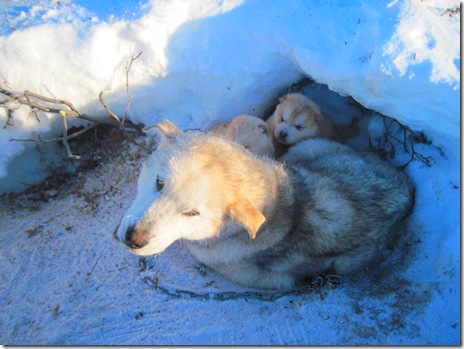 night_night night_night